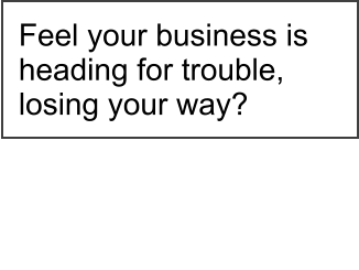 Feel your business is heading for trouble, losing your way?